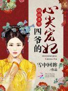 清穿之四爷宠妃