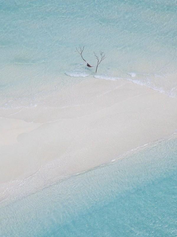 结果全国为她痛哭