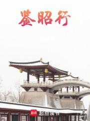 鉴昭行全本txt