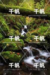 患难与共dj